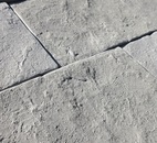 БРУСЧАТКА «АМУР»