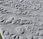 Тротуарная плитка 