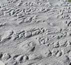 Тротуарная плитка 