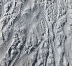 Тротуарная плитка 