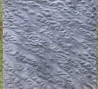 Тротуарная плитка 