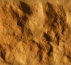 Облицовочный декоративный камень КОЛОТЫЙ