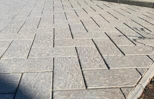 БРУСЧАТКА ЕВРОПЕЙСКАЯ