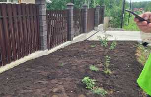 Заборный блок с цветным щебнем 300х300х200 мм