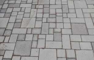 БРУСЧАТКА ЕВРОПЕЙСКАЯ