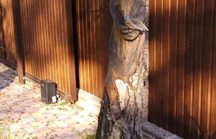 РИМСКИЙ БРУК (ЕВРОПА) ТРАПЕЦИЯ