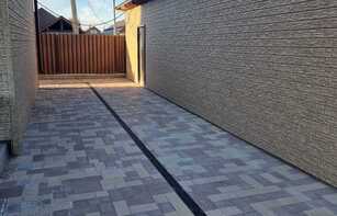 БРУСЧАТКА ЕВРОПЕЙСКАЯ