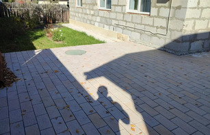 БРУСЧАТКА ЕВРОПЕЙСКАЯ