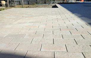 БРУСЧАТКА ЕВРОПЕЙСКАЯ