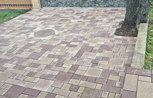 БРУСЧАТКА ЕВРОПЕЙСКАЯ