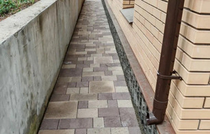 БРУСЧАТКА ЕВРОПЕЙСКАЯ