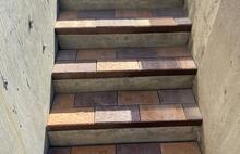 Европейская жёлто-оранжевый и коричневый