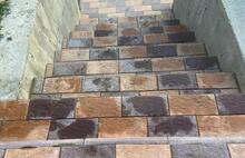 Европейская жёлто-оранжевый и коричневый