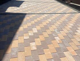 Европейская жёлто-оранжевый и коричневый