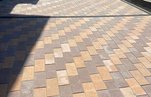 БРУСЧАТКА ЕВРОПЕЙСКАЯ