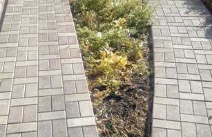 Брусчатка Античная