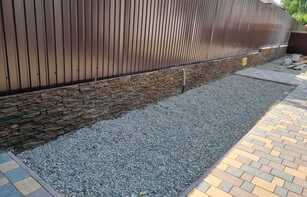 БРУСЧАТКА ЕВРОПЕЙСКАЯ