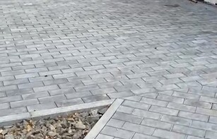 БРУСЧАТКА ГЛАДКАЯ