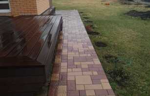 БРУСЧАТКА ЕВРОПЕЙСКАЯ