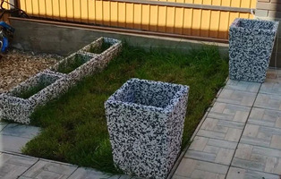 Калифорния Дерево бежевая