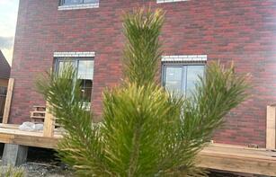 Фасадная термопанель «Гладкий кирпич»