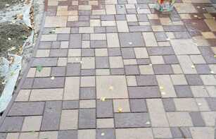 БРУСЧАТКА ЕВРОПЕЙСКАЯ