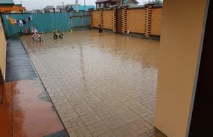 Калифорния дерево