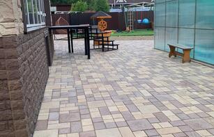 БРУСЧАТКА ЕВРОПЕЙСКАЯ