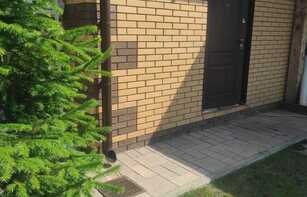 БРУСЧАТКА ЕВРОПЕЙСКАЯ