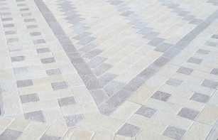 БРУСЧАТКА ЕВРОПЕЙСКАЯ