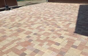 БРУСЧАТКА ЕВРОПЕЙСКАЯ