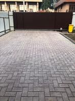 БРУСЧАТКА ГЛАДКАЯ