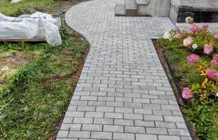 БРУСЧАТКА ГОРОДСКАЯ