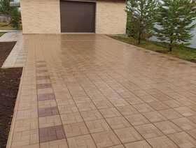 Калифорния дерево бежевая 11