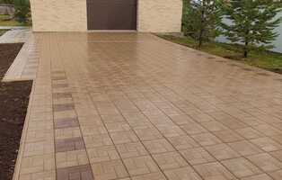 Калифорния дерево бежевая 11