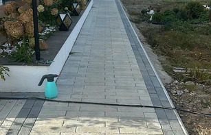 БРУСЧАТКА «САЯНЫ»