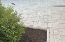 Римский брук светло-бежевый