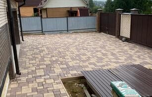 БРУСЧАТКА ЕВРОПЕЙСКАЯ