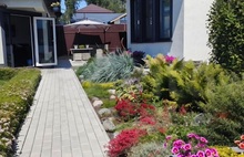 Античная неокрашенный