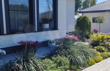 Античная неокрашенный