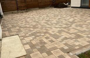 БРУСЧАТКА ЕВРОПЕЙСКАЯ