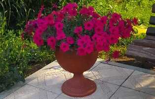 Квадрат греческий светло-бежевый