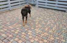 Брук камень светло-бежевый серо-голубой коричневый 1