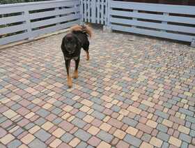 Брук камень светло-бежевый серо-голубой коричневый 1