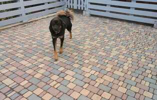 Брук камень светло-бежевый серо-голубой коричневый 1