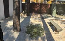 Брук трапеция не острая жёлто-оранжевый коричневый и светло-бежевый