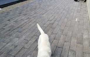 БРУСЧАТКА ТРОТУАРНАЯ «КОРАБЕЛЬНАЯ ДОСКА»