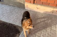 Брусчатка Мостовая неокрашенная (светло-серая)