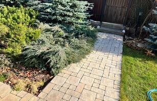 РИМСКИЙ БРУК (ЕВРОПА)