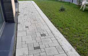 БРУСЧАТКА ЕВРОПЕЙСКАЯ